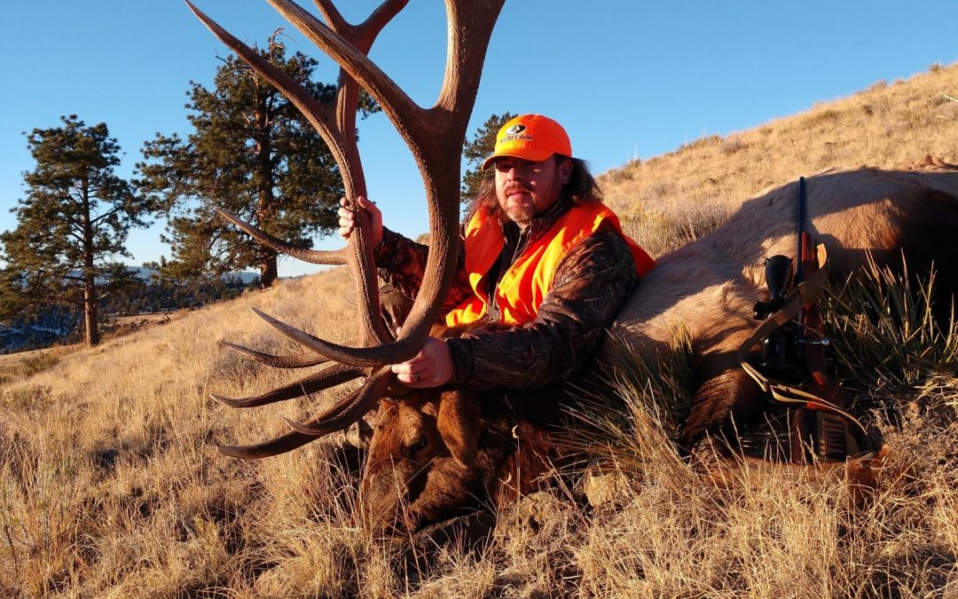 Colorado Rifle Elk Hunt