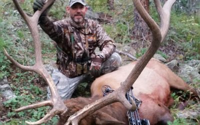 Colorado – Archery Elk Hunt