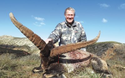 SPAIN – IBEX PACKAGES