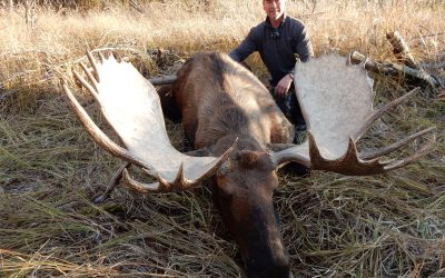 Yukon Moose Hunt